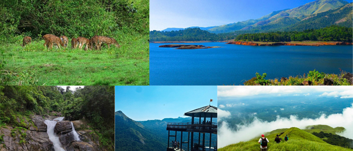 Wayanad Tourist Places – Explore Best Places To Visit In Wayanad