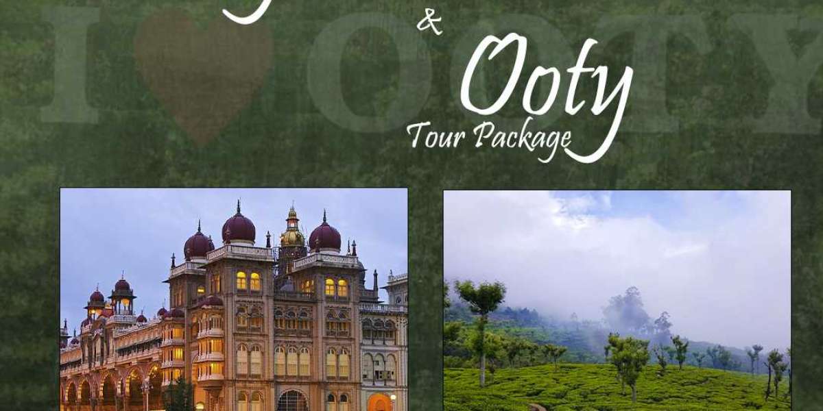 Amazing Experience at Stunning Locations with Mysore Tour Packages