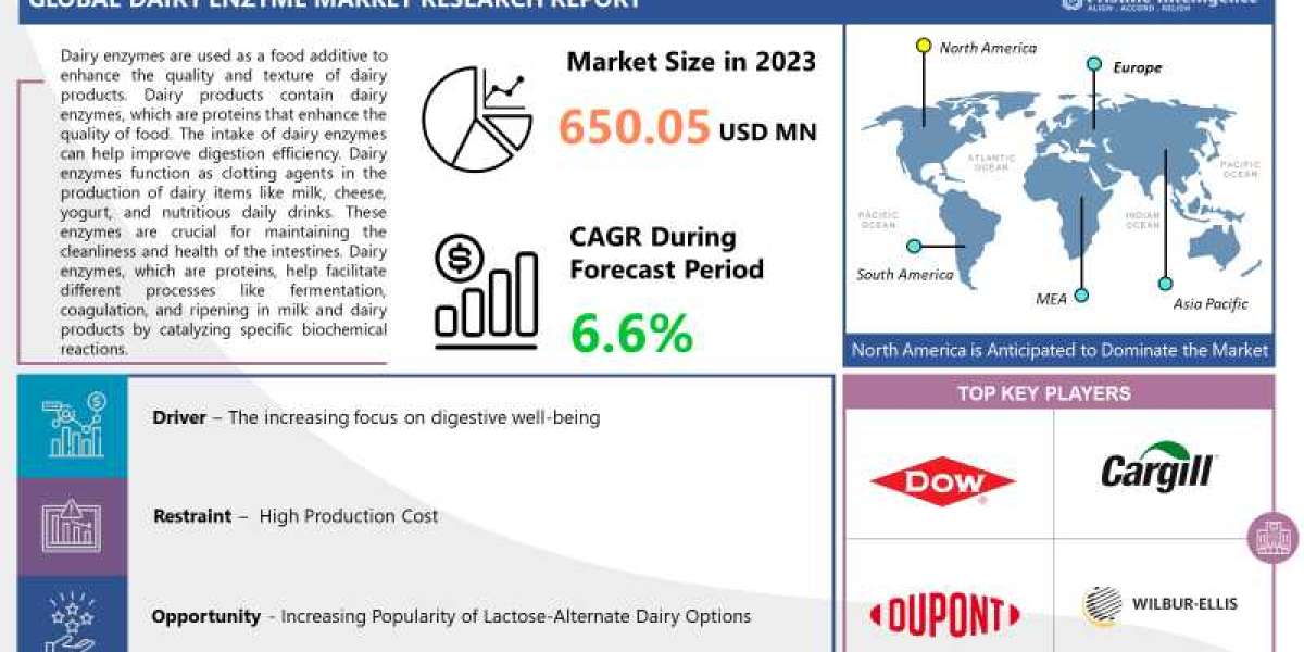 Dairy Enzyme Market (2024-2032) Industry Trends, Share, Size, Growth, Opportunity, and Forecast