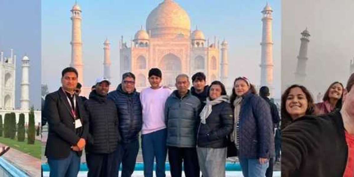 Best Day Tour Packages of India in 2024: A Journey to Remember