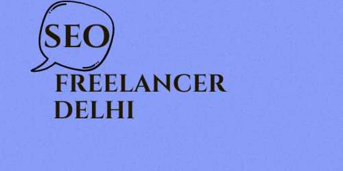 SEO Freelancer AP, SEO Freelancer Delhi, SEO Freelancer India