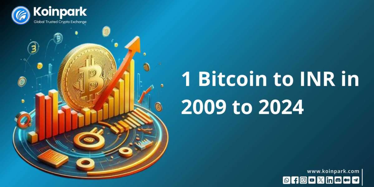 1 Bitcoin to INR from 2009 to 2024