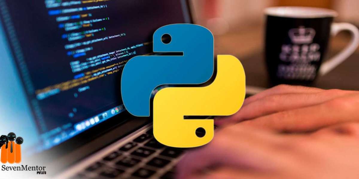 What is the future of Python?