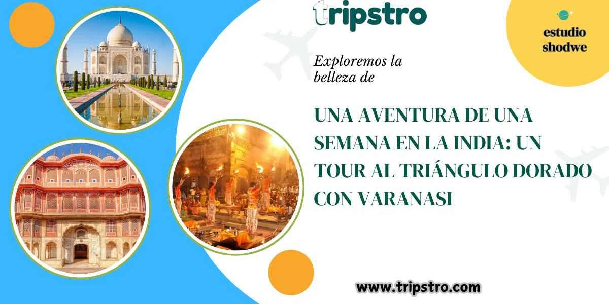 Una Aventura de Una Semana en la India: Un Tour al Triángulo Dorado con Varanasi