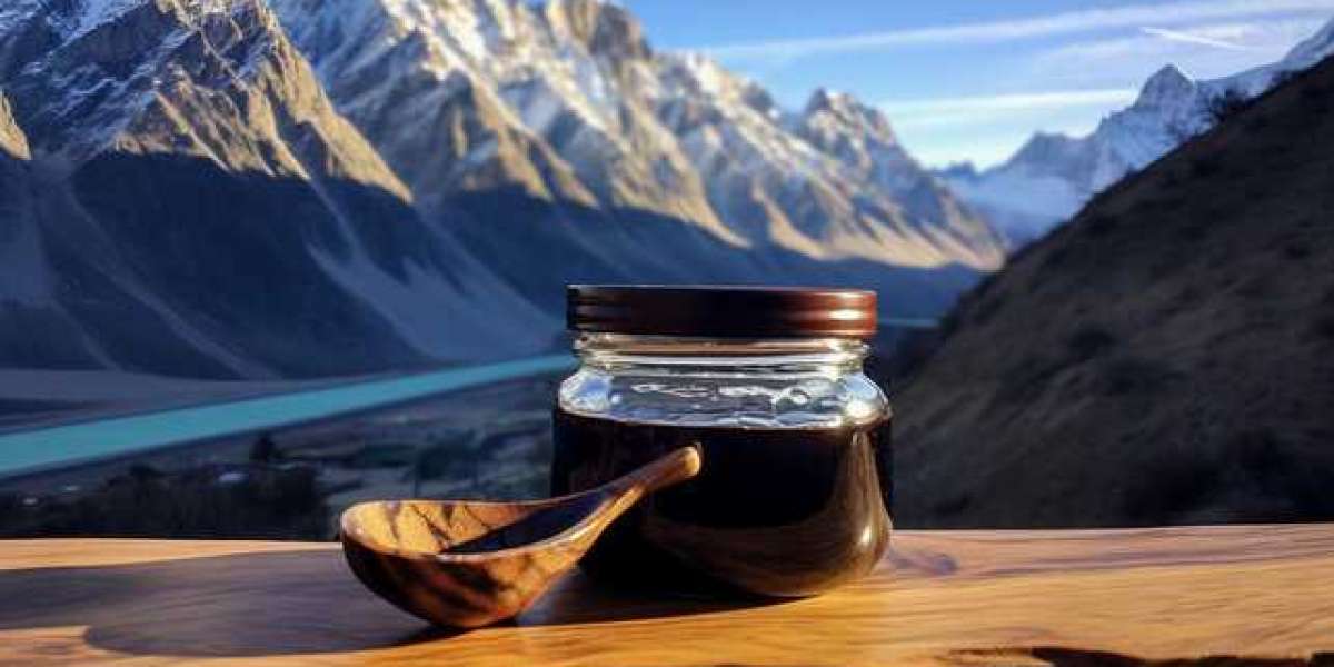 Transform Your Health with the Potent Power of Pure Himalayan Shilajit