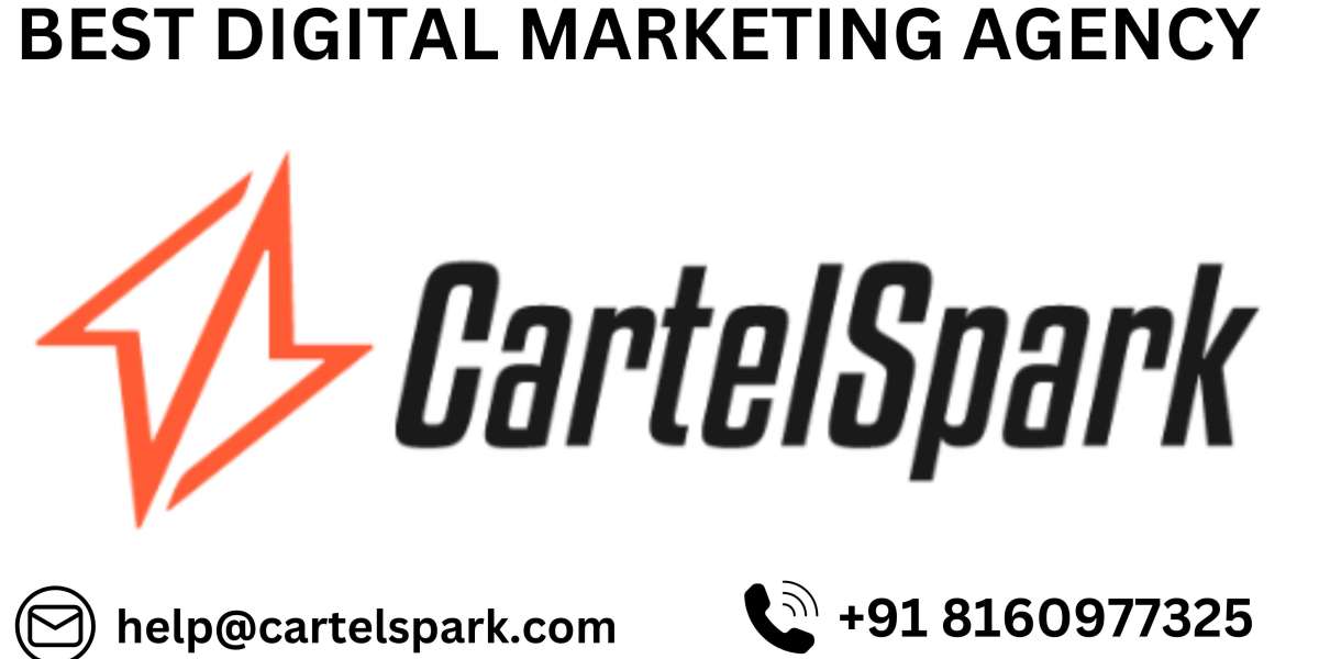 SEO for Plastic Surgeons- CartelSpark