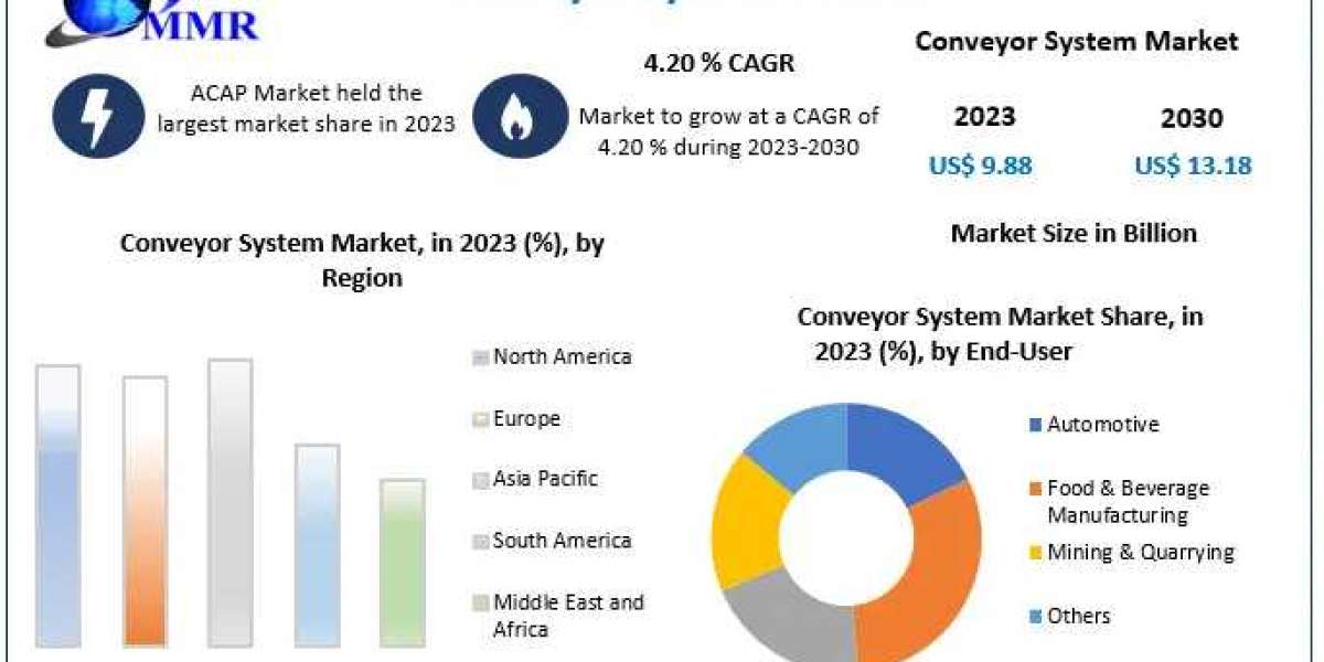 Conveyor System Market Decoding Strategies: A Deep Dive into Major Players' Development Approaches