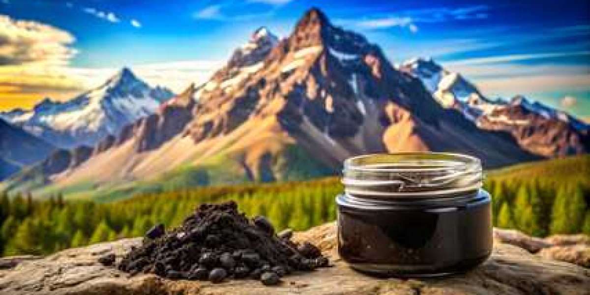 Get Shilajit in Australia to Unlock the Power of Nature