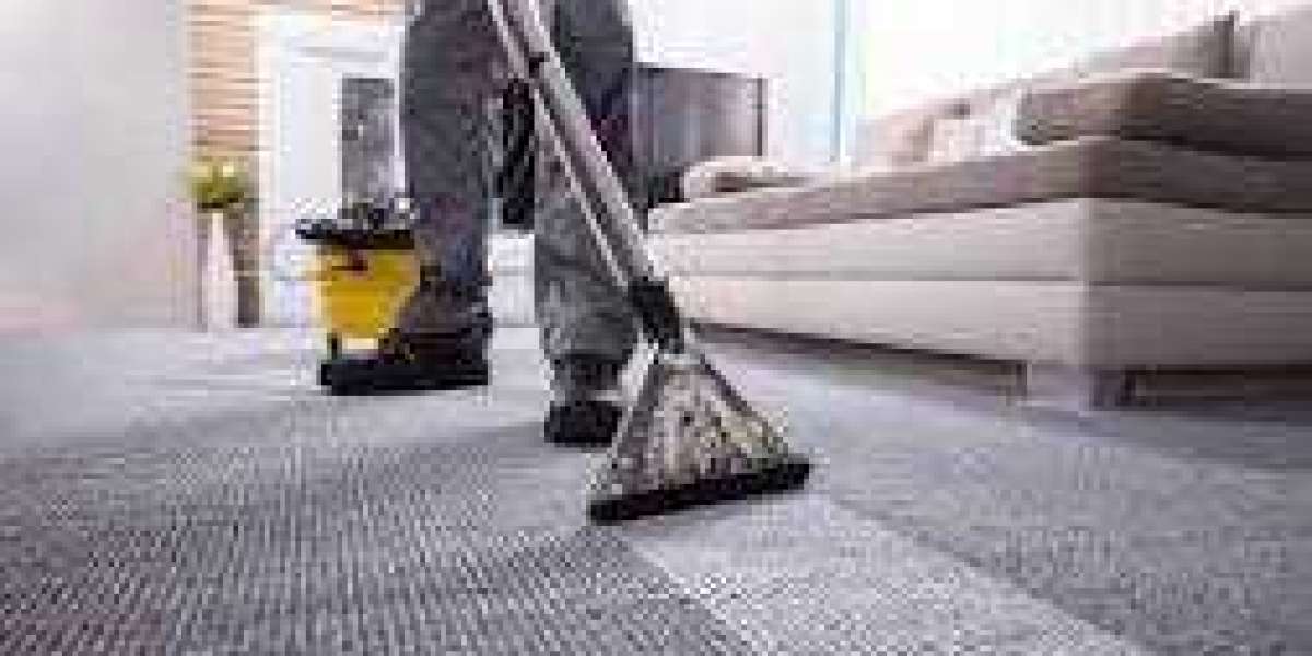 Enhancing Home Comfort with Consistent Carpet Cleaning