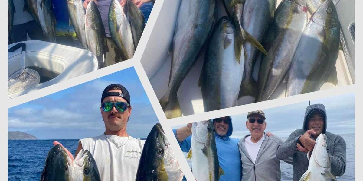 The Best Time of Year for Offshore Fishing: A Seasonal Guide