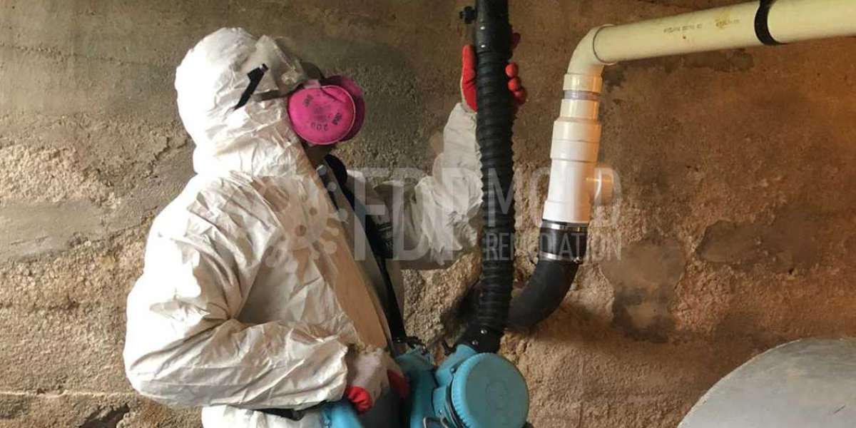 Mold Remediation and Testing: Protect Your Health and Home