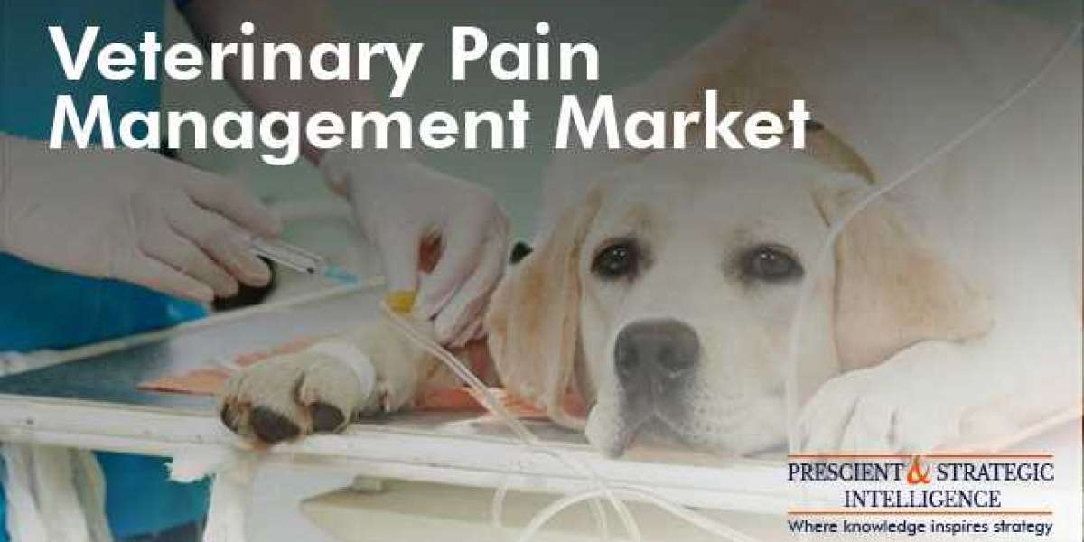 Veterinary Pain Management Market to Hit USD 2.8 Billion by 2030