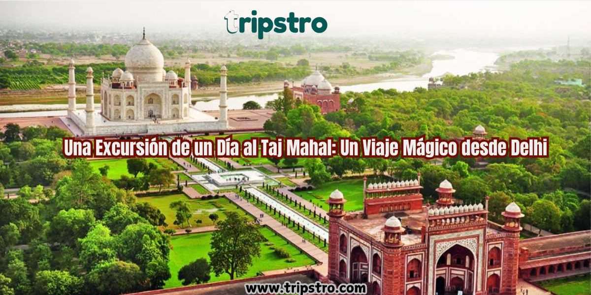 Una Excursión de un Día al Taj Mahal: Un Viaje Mágico desde Delhi