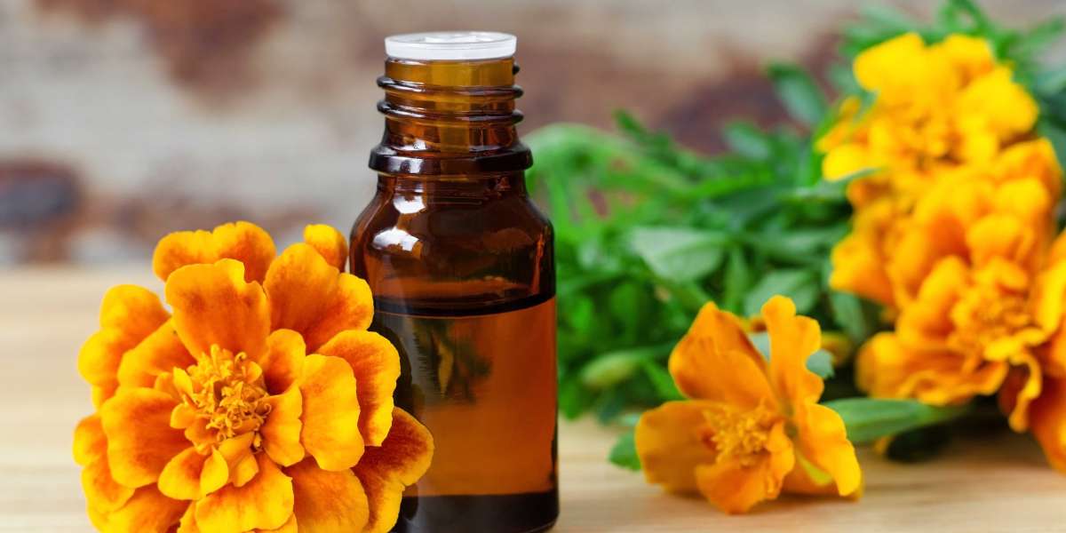 Marigold Essential Oil: Elevate Your Wellness Routine with This Floral Powerhouse