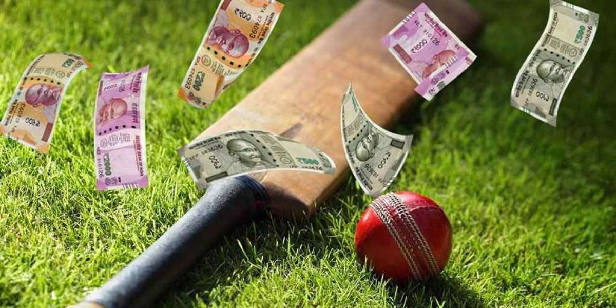 How to Bet on Under-19 Cricket Using Your Betting ID